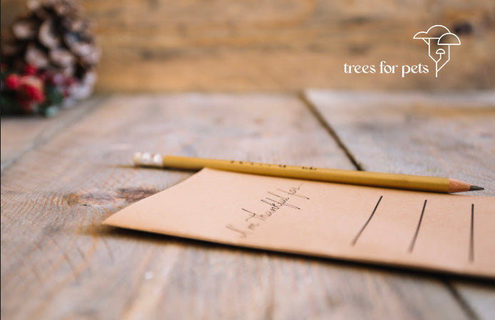 How to Write a Sympathy Card: Condolences for the Loss of a Pet