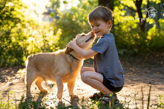 song for pet loss