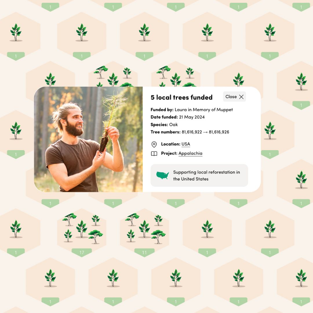 Pet Memorial Tree Grove in the USA + Forest Candle