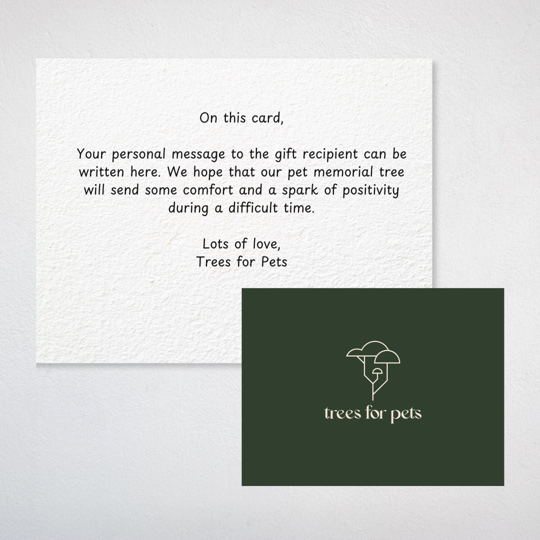 Pet Memorial Tree Grove in the USA + Forest Candle