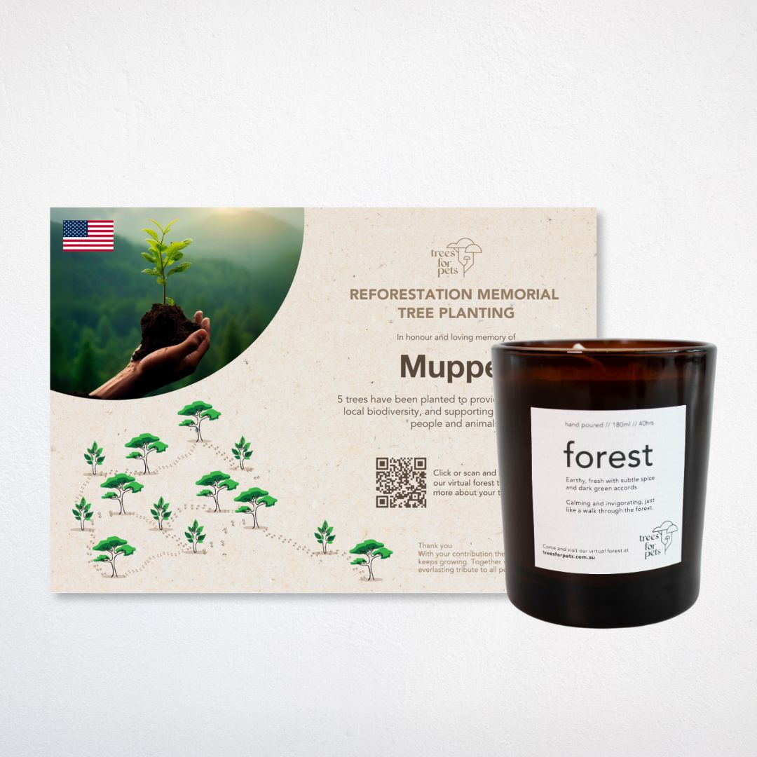 memorial candle gifts