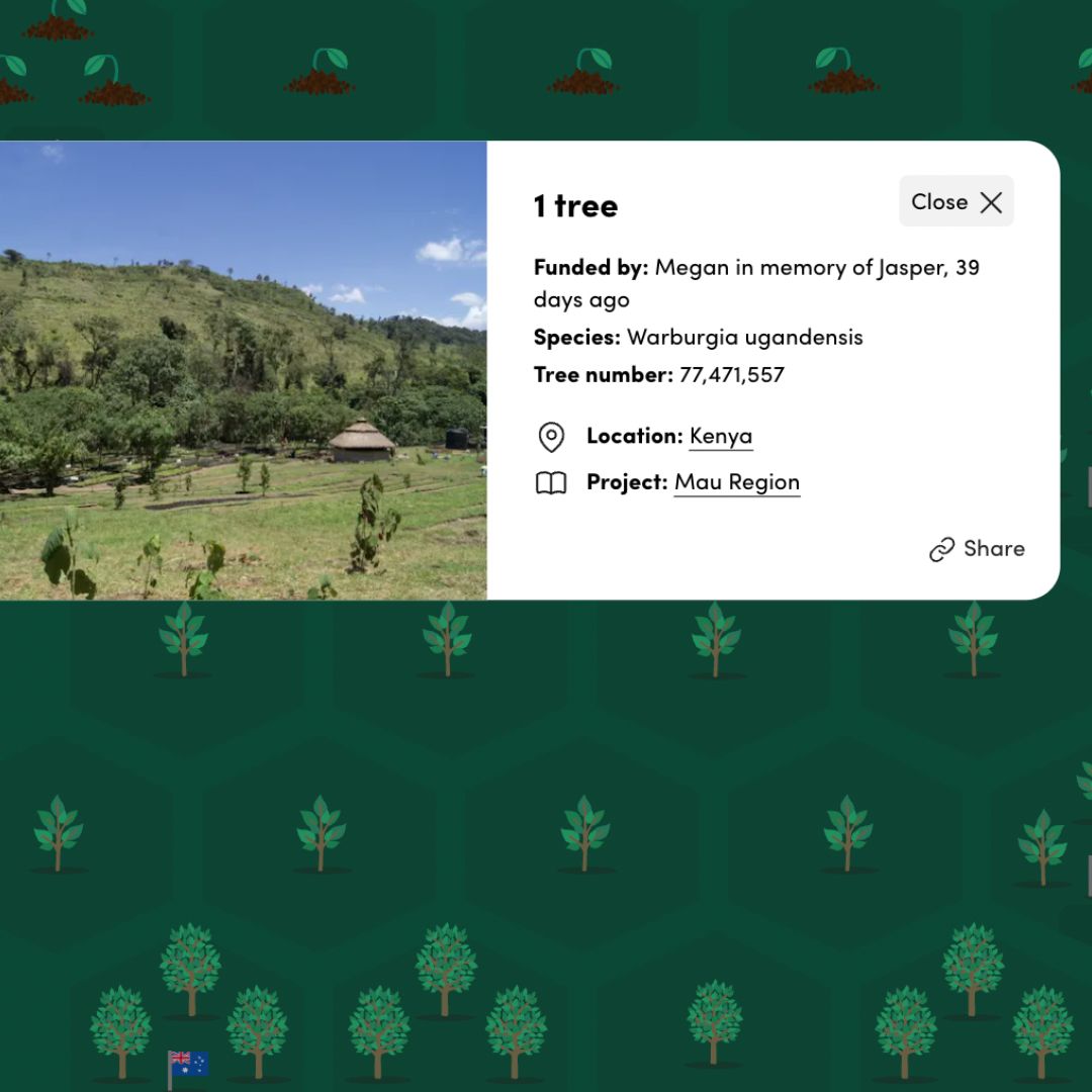 Reforestation Pet Memorial Tree Gift - LVC