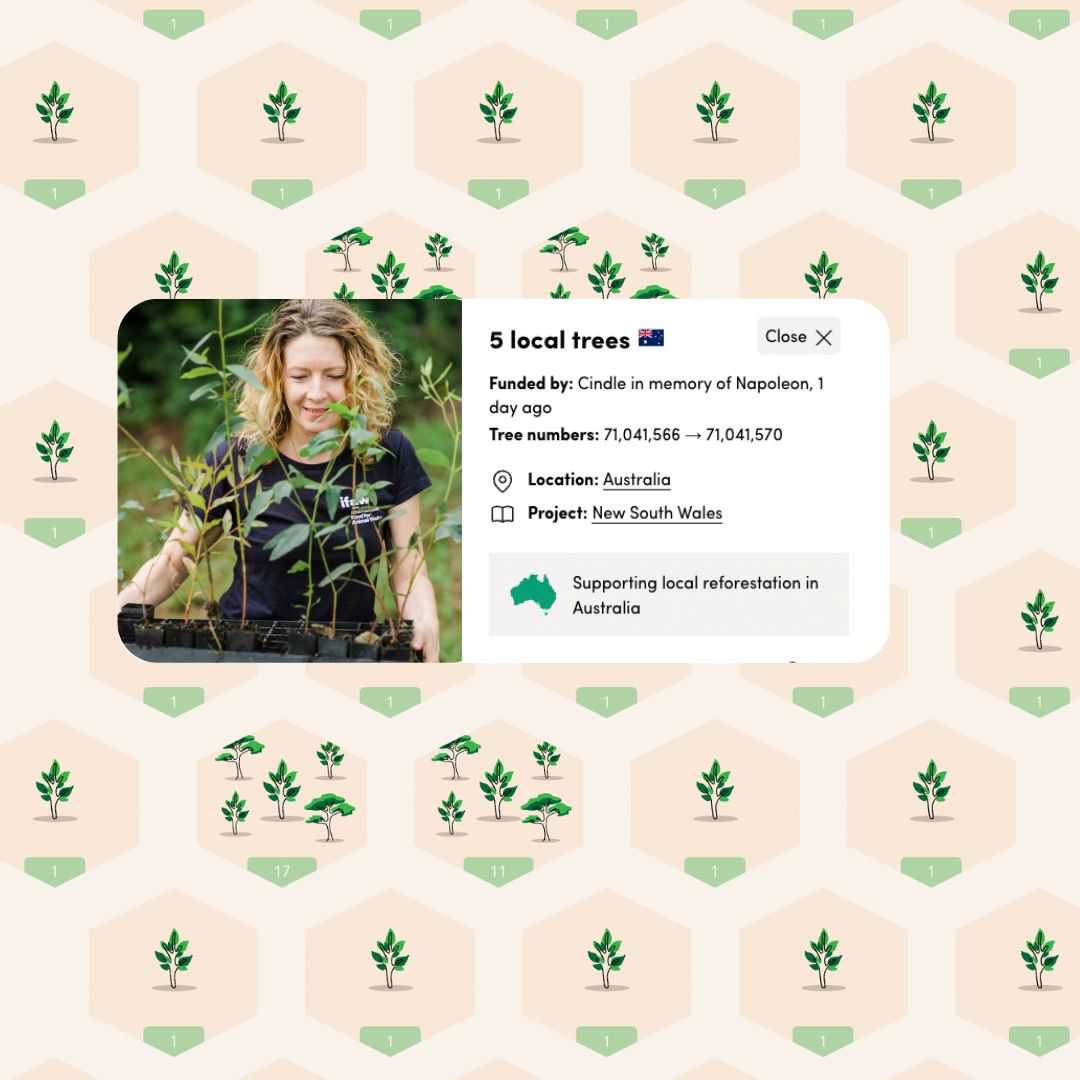 Pet Memorial Tree Grove in Australia (5 - 250 Trees)