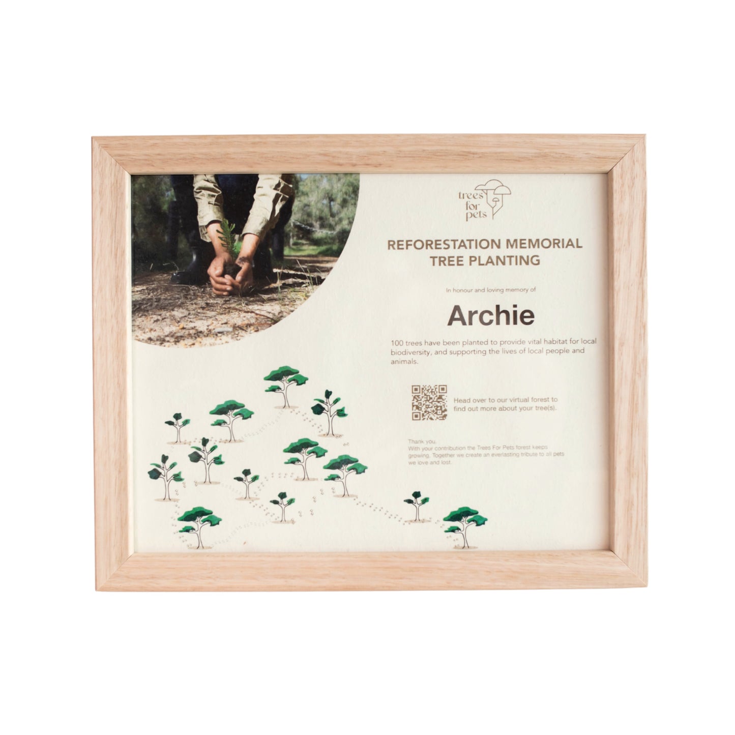Reforestation Pet Memorial Tree Gift - LVC