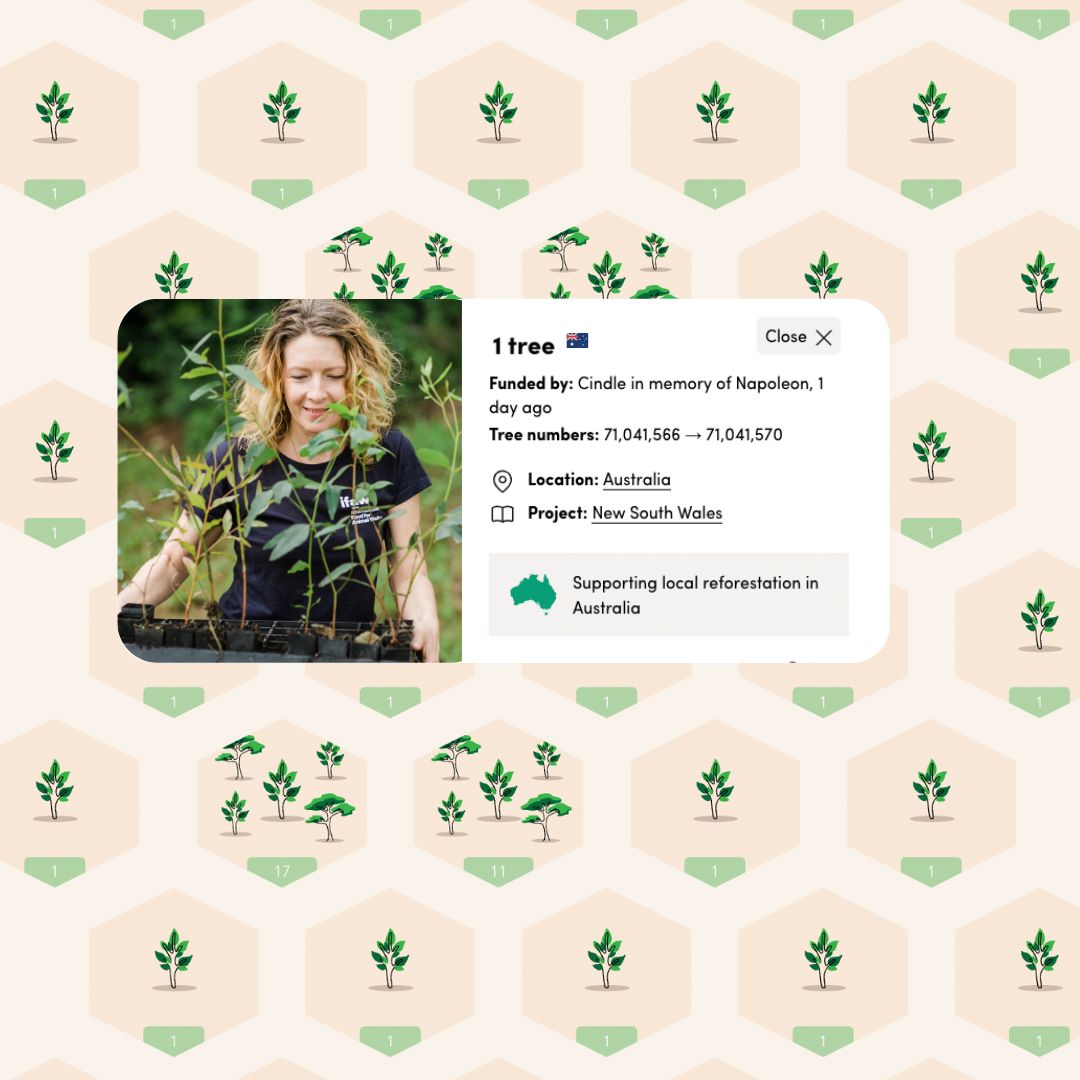 Pet Memorial Tree in Australia