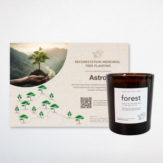 Pet Memorial Tree Grove (25 - 500 Trees) + Forest Candle