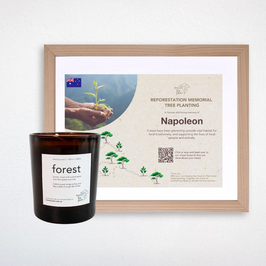 Pet Memorial Tree Grove in Australia + Forest Candle + Framed Certificate
