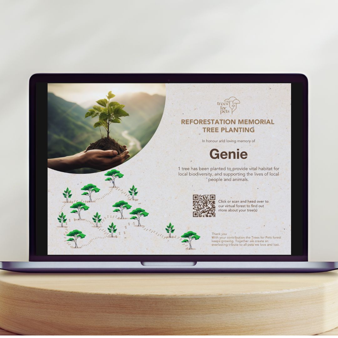 online certificate for pet memory tree