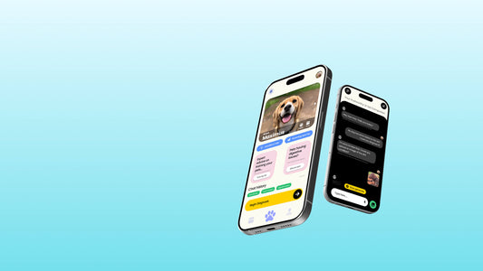 Meaningful Pet Memorials in Australia: Our New Partnership with PawHealthAI