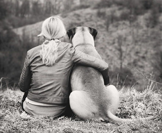 Loss of a Dog: Understanding the 7 Common Emotional Stages That Owners Experience