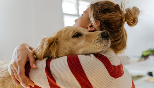 Euthanasia for Pets: Myths, Facts, and Common Misunderstandings