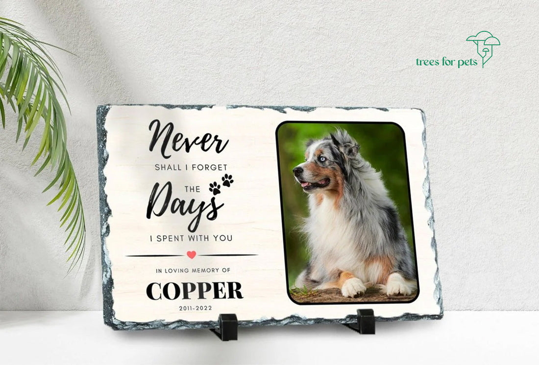 Dog Memorial Gifts – Keepsakes That Bring Comfort
