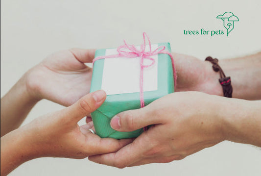 gifts for grieving pet owners