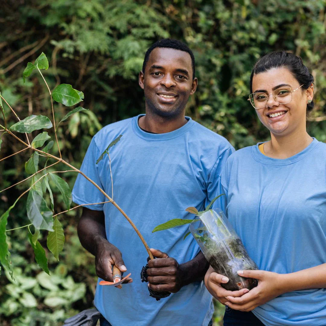 Planting a Pet Memorial Tree: Growing Love That Never Ends
