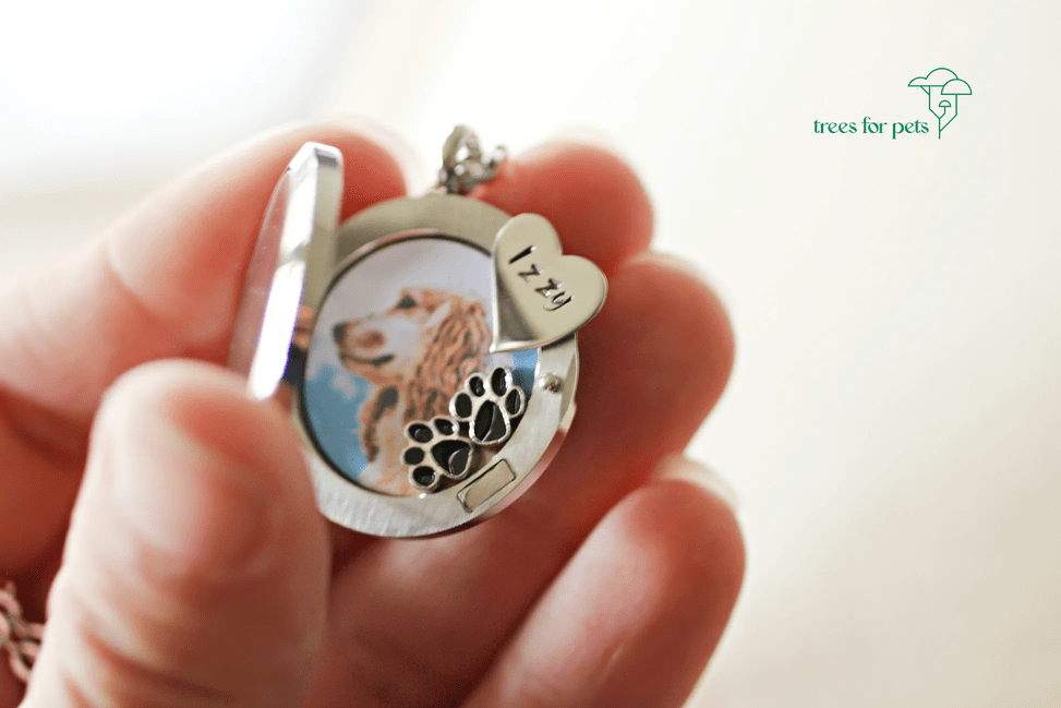 pet memorial jewelry