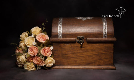 Pet Memory Box Guide: Keep Their Love Alive Forever