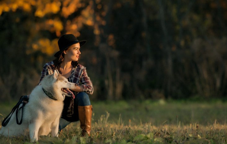 The Power of Pet Remembrance: Stories of Love, Loss and Legacy