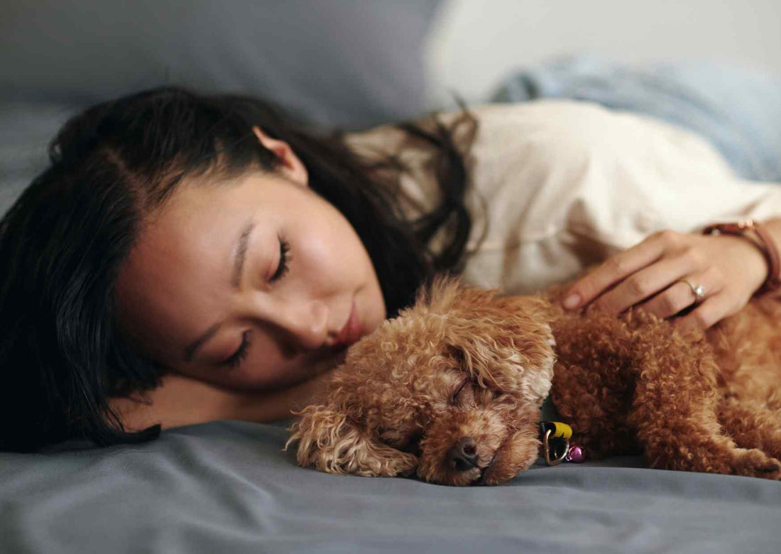 Pet loss pain
