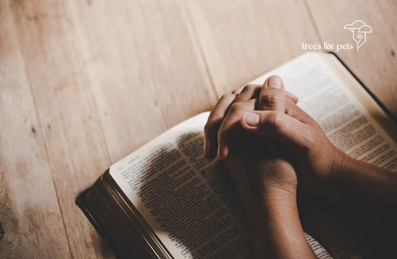 Top Prayers for the Death of a Pet: Comforting Words for Healing
