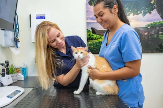 veterinary partnership program