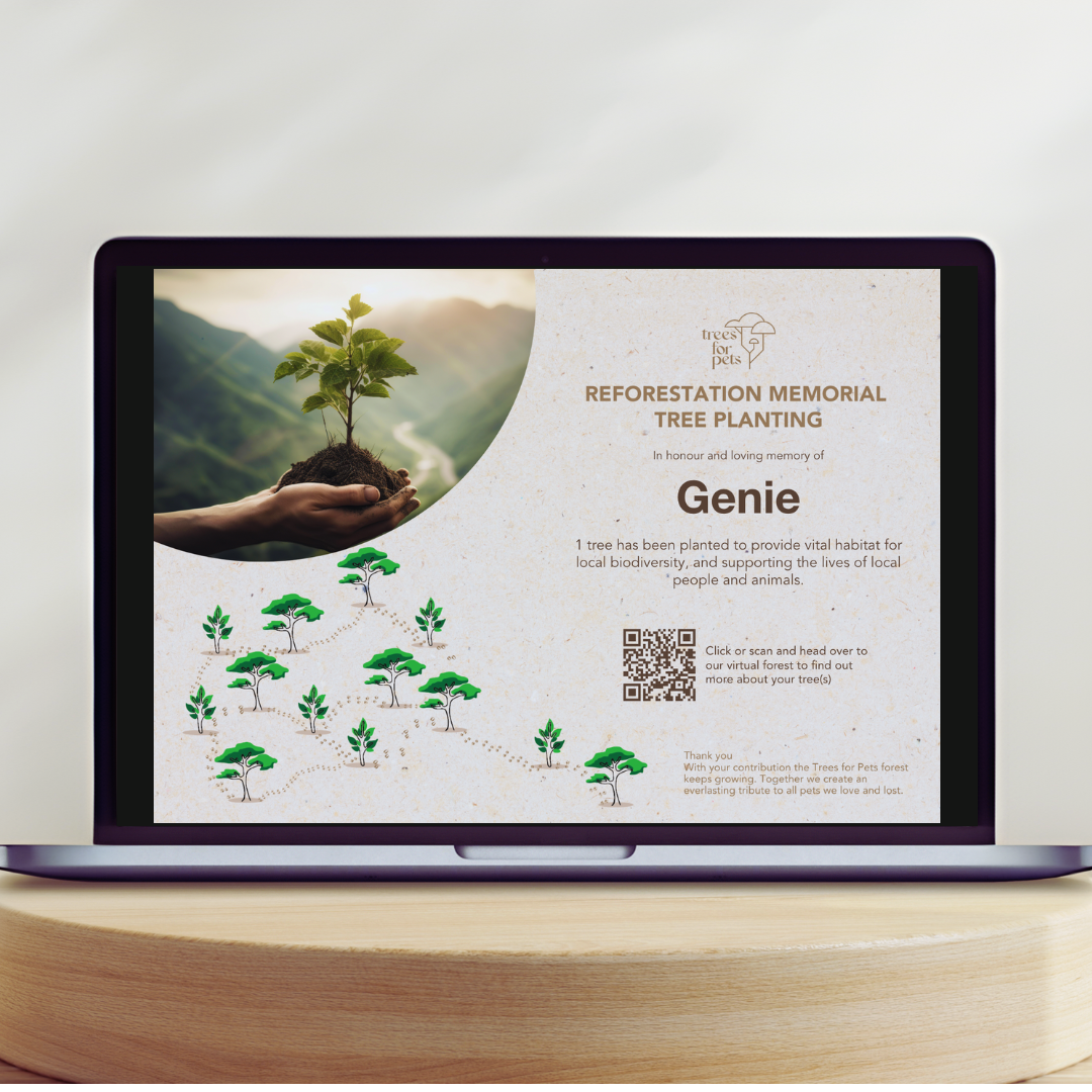 Pet Memorial Tree + Jasper Grief Support