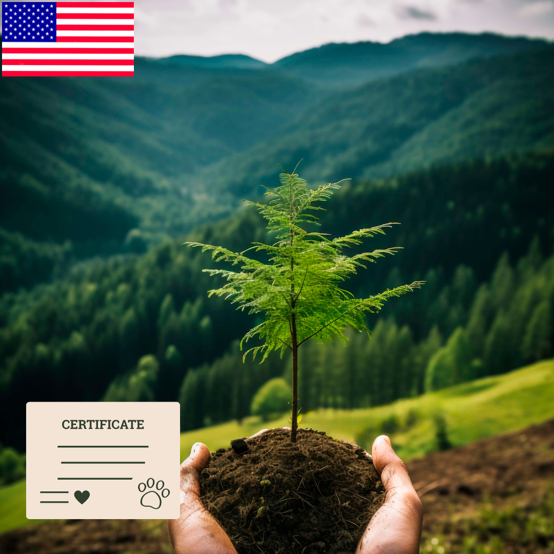 Pet Memorial Tree in the USA