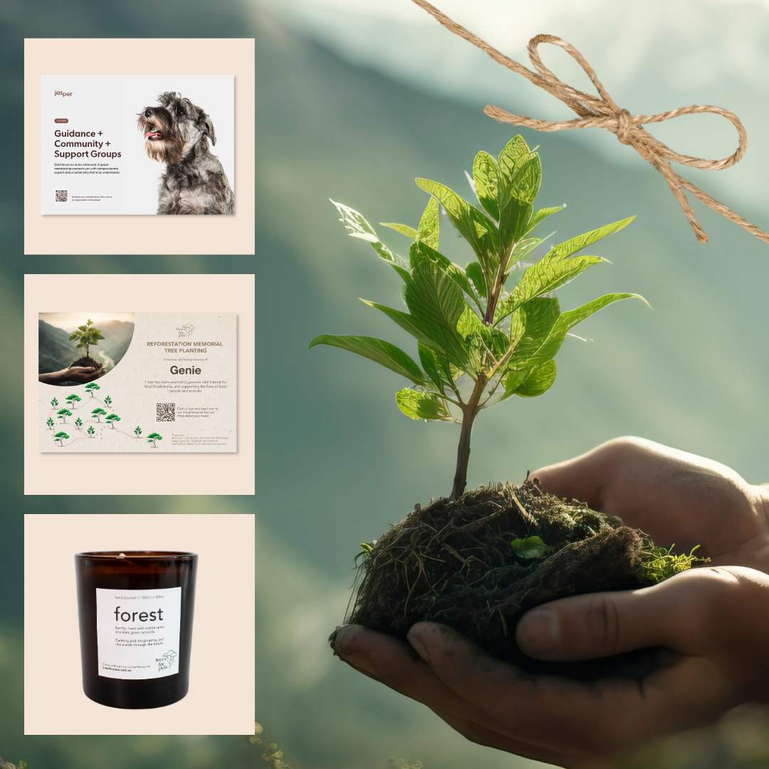 Pet Memorial Tree + Jasper Grief Support + Forest Candle
