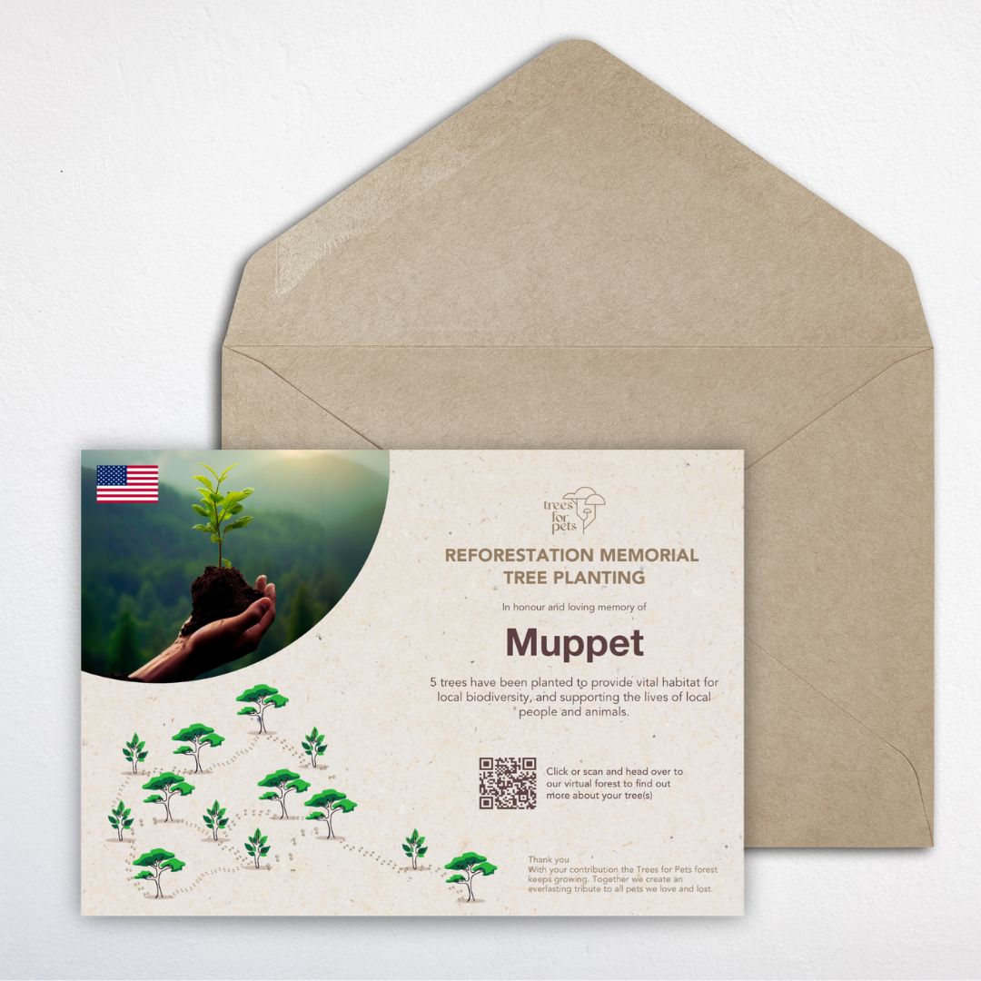 Pet Memorial Tree Grove in the USA + Forest Candle