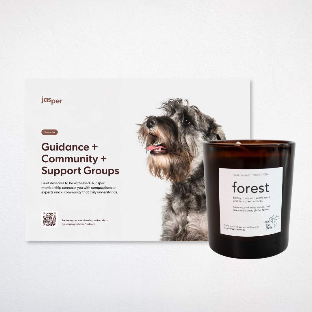 Pet Memorial Tree + Jasper Grief Support + Forest Candle