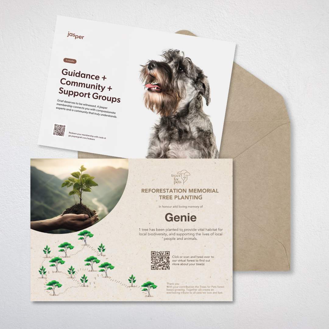 Pet Memorial Tree + Jasper Grief Support + Forest Candle