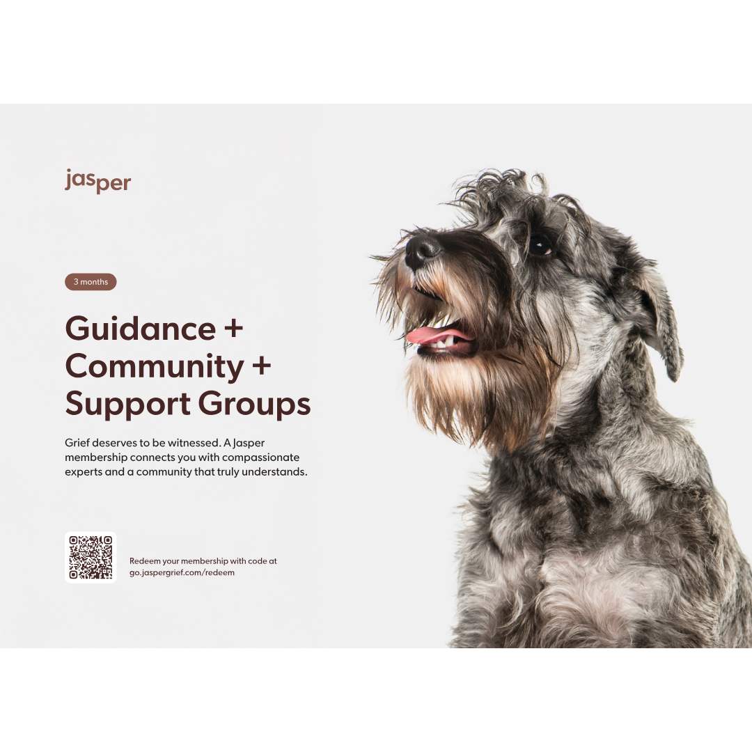 Pet Memorial Tree + Jasper Grief Support + Forest Candle