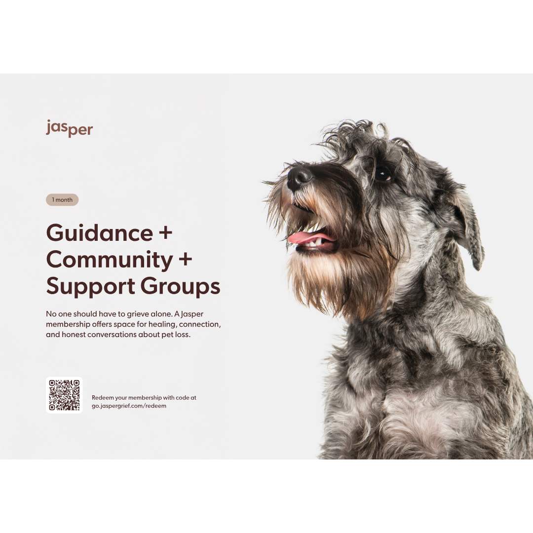 Pet Memorial Tree + Jasper Grief Support