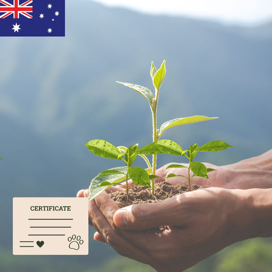 Pet Memorial Tree Grove in Australia (5 - 250 Trees)