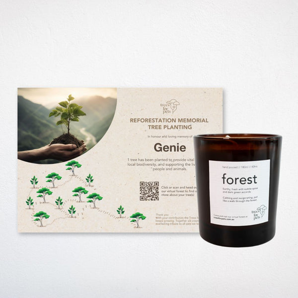 Pet Memorial Tree + Forest Candle