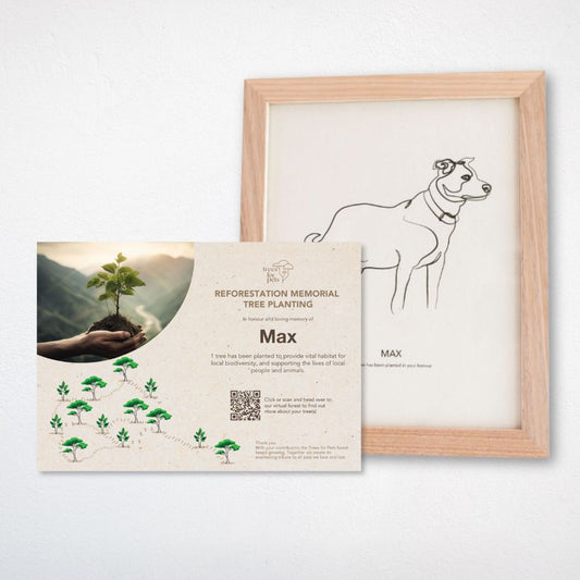 Pet Memorial Tree + Pet Portrait