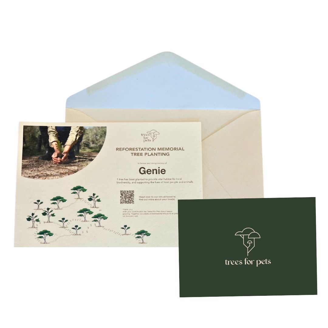 Memorial Tree Gift & Certificate