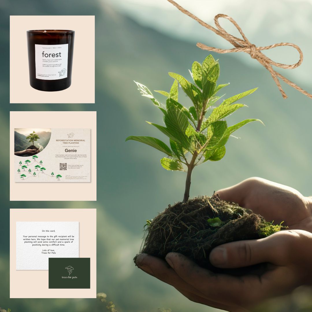 Pet Memorial Tree + Forest Candle