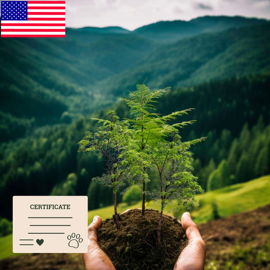 Pet Memorial Tree Grove in the USA (5 - 250 Trees)