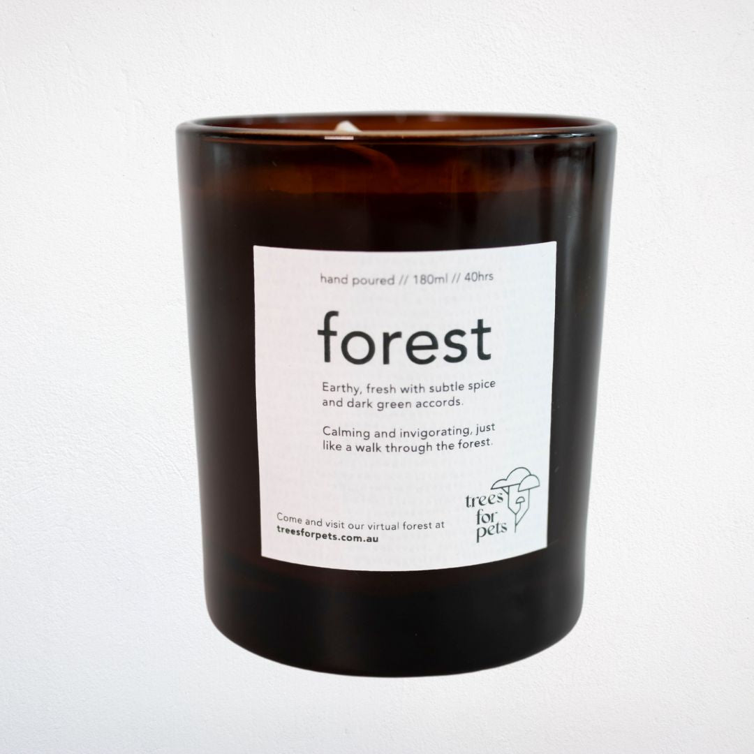 Pet Memorial Tree + Forest Candle + Pet Portrait