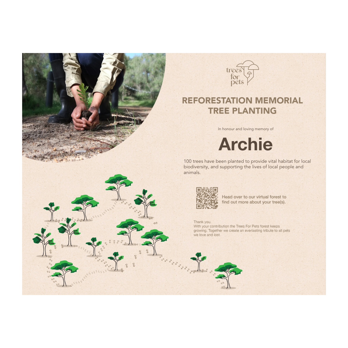 Memorial Tree Gift & Certificate