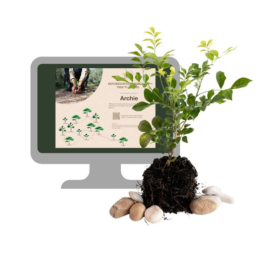 Reforestation Pet Memorial Tree Gift - LVC