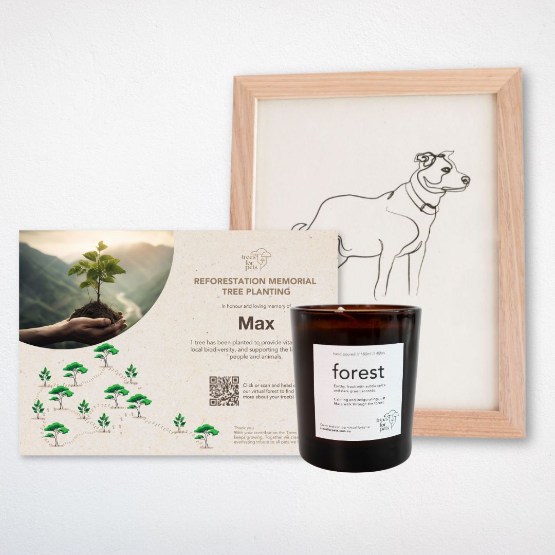 Pet Memorial Tree + Forest Candle + Pet Portrait