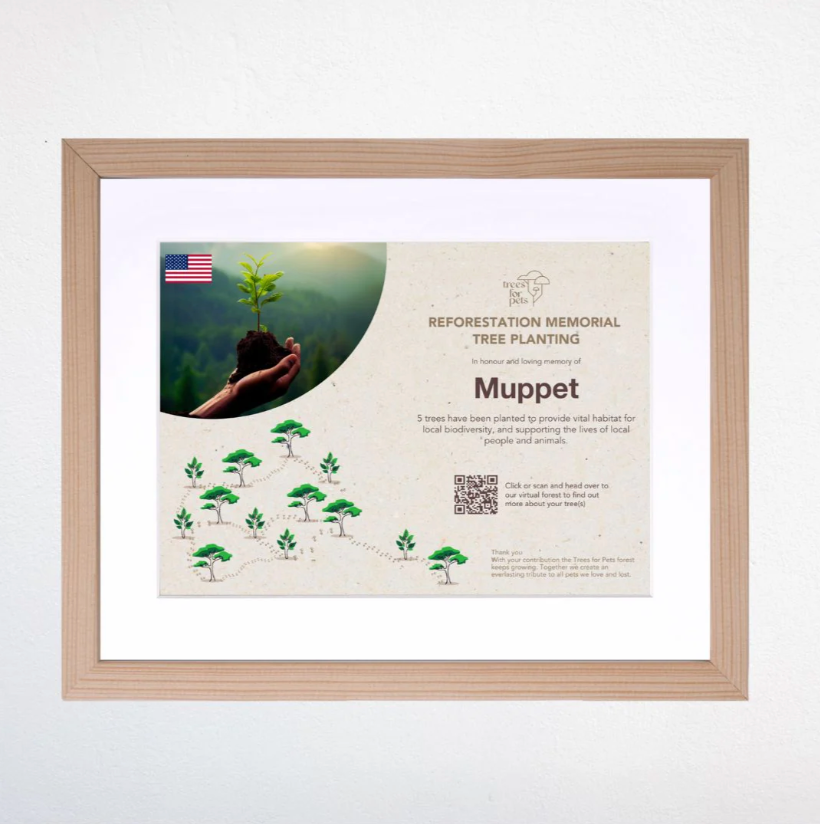 Pet Memorial Tree Grove in the USA + Forest Candle