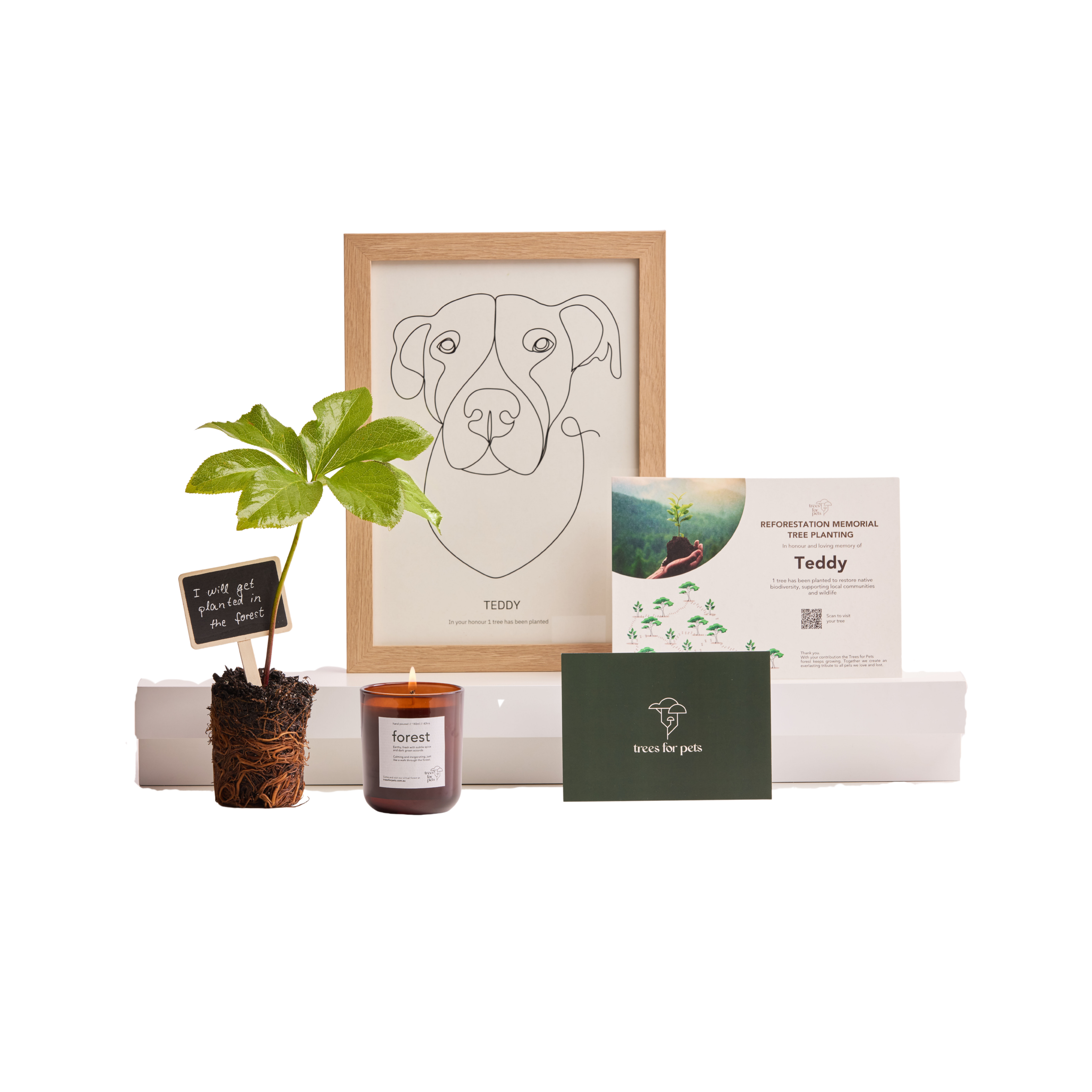 Pet loss gift bundle with memorial tree, pet portrait, certificate, candle, and gift box